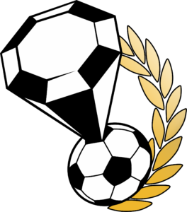 AP Diamonds Academy logo